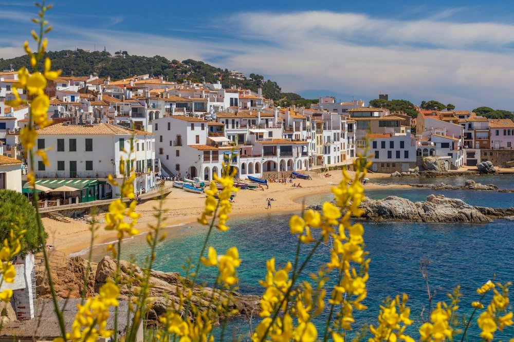 Costa de Pontevedra